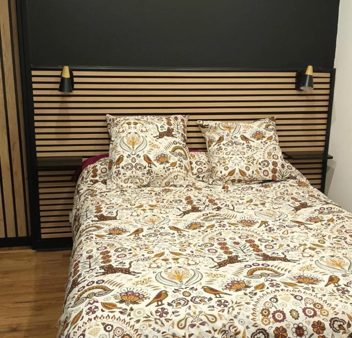 Superbe Appartement T2 Proche De Vulcania Pontaumur Frankrijk